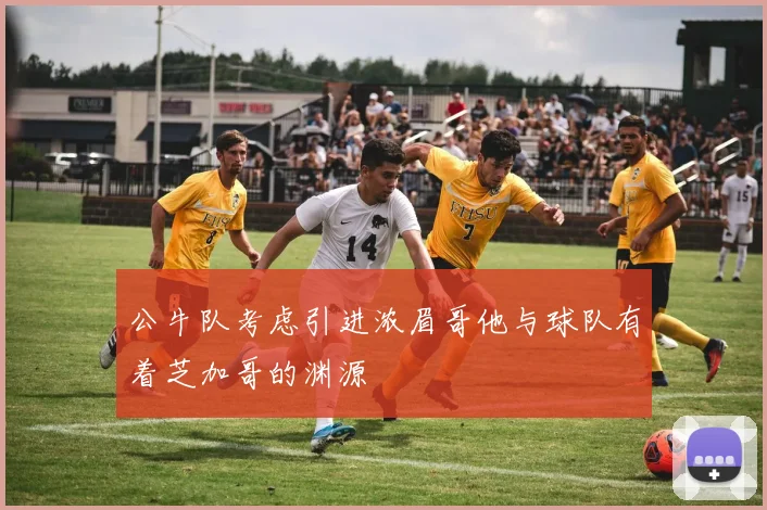 公牛队考虑引进浓眉哥他与球队有着芝加哥的渊源