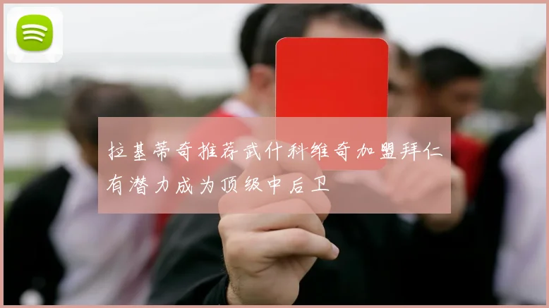 拉基蒂奇推荐武什科维奇加盟拜仁有潜力成为顶级中后卫