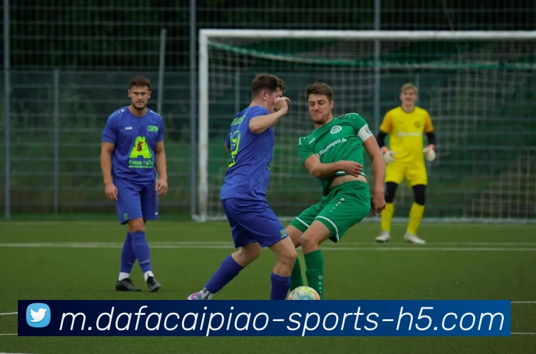 大发彩票平台生态图